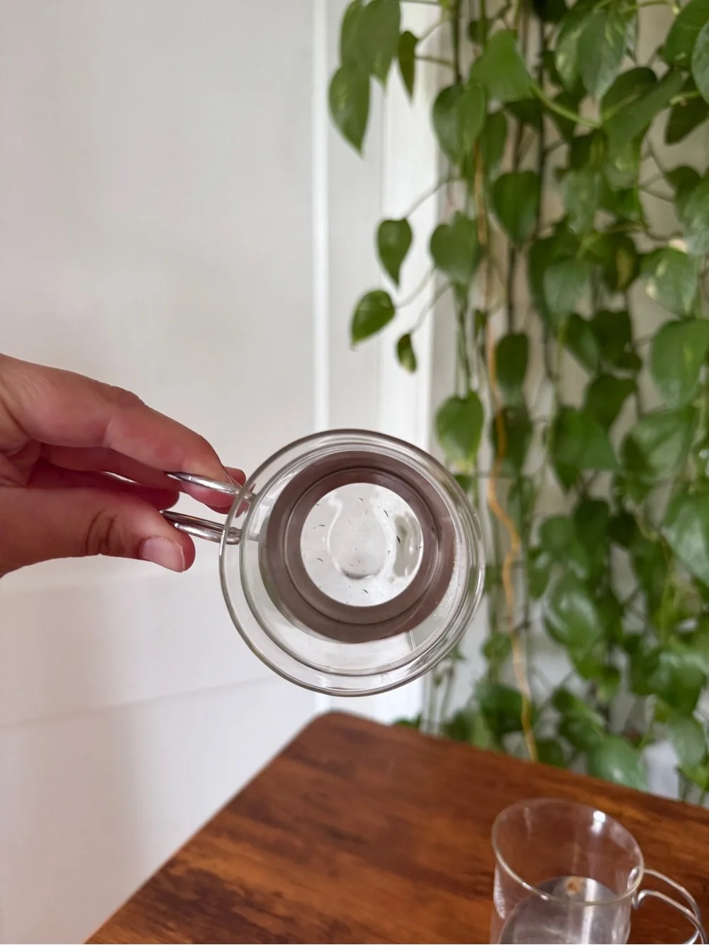 Pura Vida clear glass